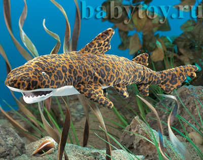 Леопардовая акула - BabyToy