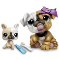 Littlest Pet Shop    2-   -   