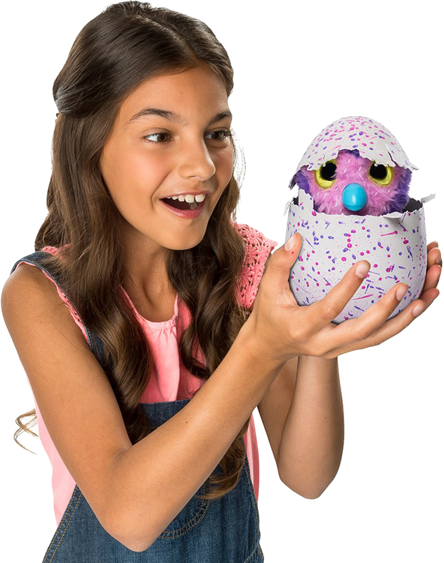 Hatchimals   -  ,   