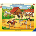 Ravensburger    37 