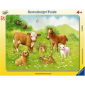 Ravensburger    37 