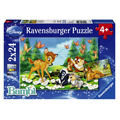 Ravensburger     224