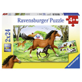 Ravensburger    224