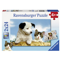 Ravensburger    224