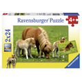 Ravensburger    224