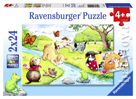 Ravensburger    224