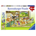 Ravensburger     224