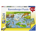 Ravensburger    224